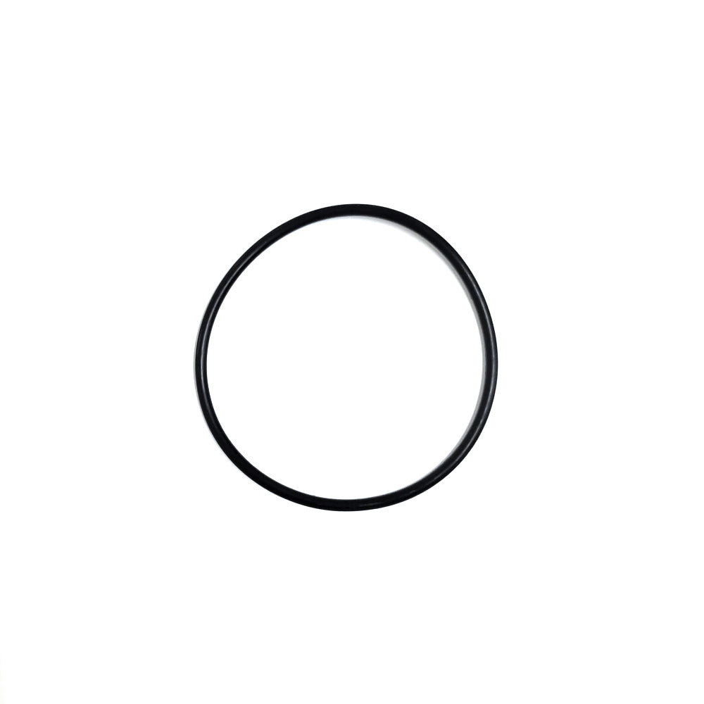 O-ring D. 192x5 Per Pompa Maxim AstralPool - Foto 9